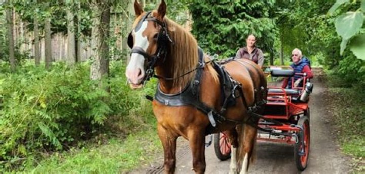 Discovering Helena Vestergaard Age: A Journey Through Time