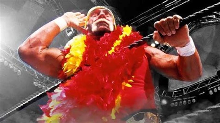 Hulk Hogan's Controversial Moment: The Sex Tape Leak