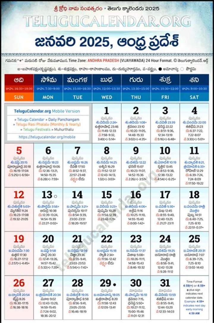 Ultimate Guide to Rulz Download 2024 Telugu: What You Need to Know